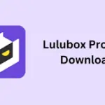 Lulubox Pro APK